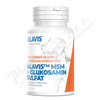 Alavis MSM,glukosamin sulfát 60tbl