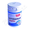 Lactobacillus acidophilus tbl.60 Apothek