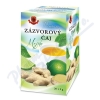 HERBEX Zázvorový čaj Mojito 20x2 g