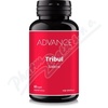 ADVANCE Tribul cps. 60