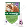 Advantage 80mg koč.+král.spot-on 4x0,8ml