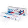 Flector EP Gel drm.gel 1x100g