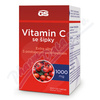 GS Vitamin C1000 se ąípky tbl.100+20