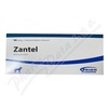 Zantel vet.tbl.96 + Doptava ZDARMA
