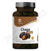 Vitální houby Chaga 500mg Galmed cps 90
