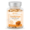 Cordyceps 30% extrakt 500mg cps.60