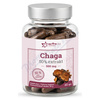Chaga 50% extrakt 500mg cps.60