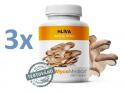 MycoMedica Hlíva ústřičná 3 x 90 kapslí