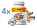 MycoMedica Hlíva ústřičná 4 x 90 kapslí