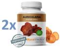 Mycomedica Auricularia 2 x 90 kapslí