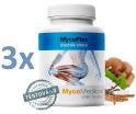 Mycomedica MycoFlex 3 x 90 kapslí