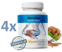 Mycomedica MycoFlex 4 x 90 kapslí