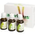 Allivictus Tinktura 3x 50 ml