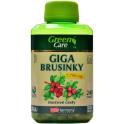 VitaHarmony Giga Brusinky XXL 7.700 mg 240 tablet